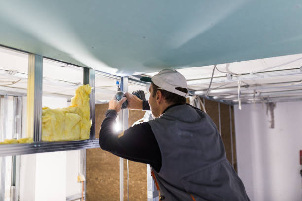 Best Commercial Insulation in Rochester, WA
